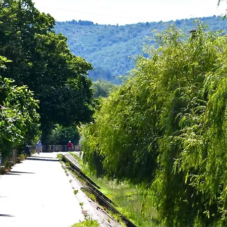 Vista * Metković